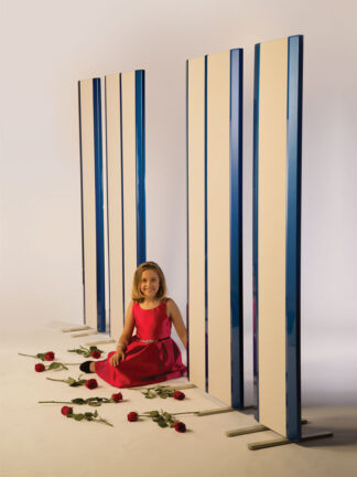 Magnepan 30.7 floor standing speaker