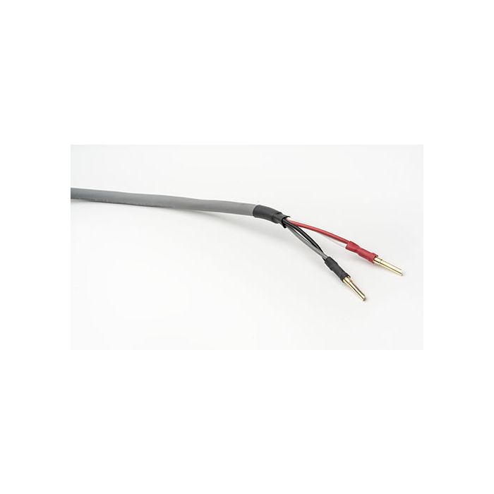 Straightwire Chorus II - Image 2