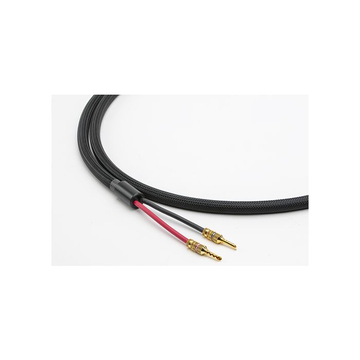 Straightwire Expressivo Grande II
