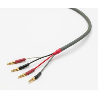 Straightwire Chorus II