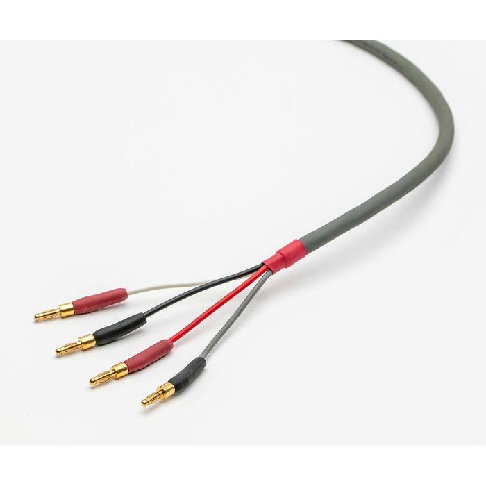 Straightwire Chorus II